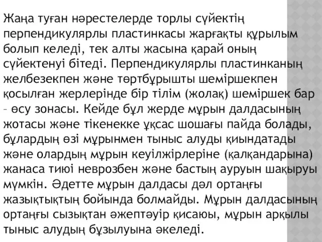 Жаңа туған нәрестелерде торлы сүйектің перпендикулярлы пластинкасы жарғақты құрылым болып