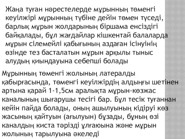 Жаңа туған нәрестелерде мұрынның төменгі кеуілжірі мұрынның түбіне дейін төмен