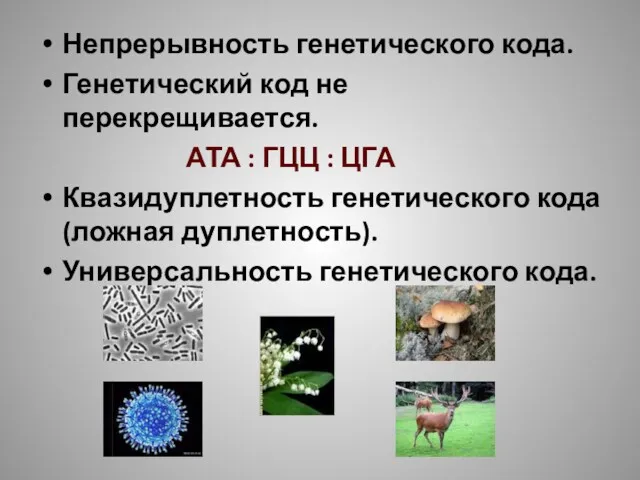 Непрерывность генетического кода. Генетический код не перекрещивается. АТА : ГЦЦ