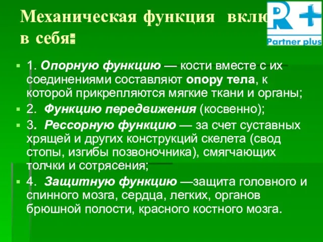 Механическая функция включает в себя: 1. Опорную функцию — кости