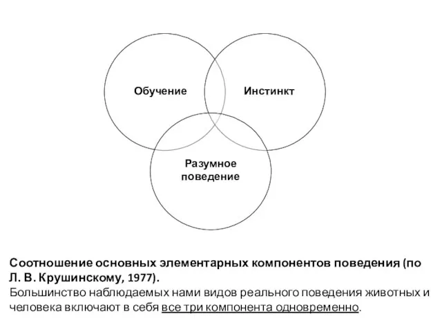 Соотношение основных элементарных компонентов поведения (по Л. В. Крушинскому, 1977).