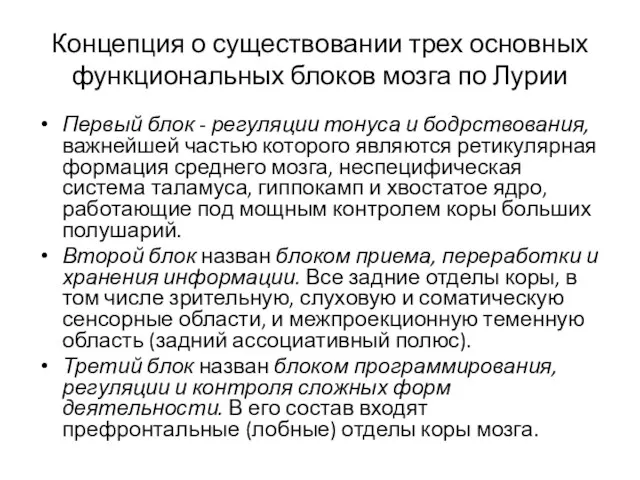 Концепция о существовании трех основных функциональных блоков мозга по Лурии