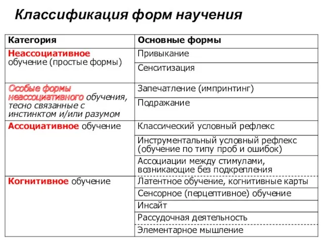 Классификация форм научения