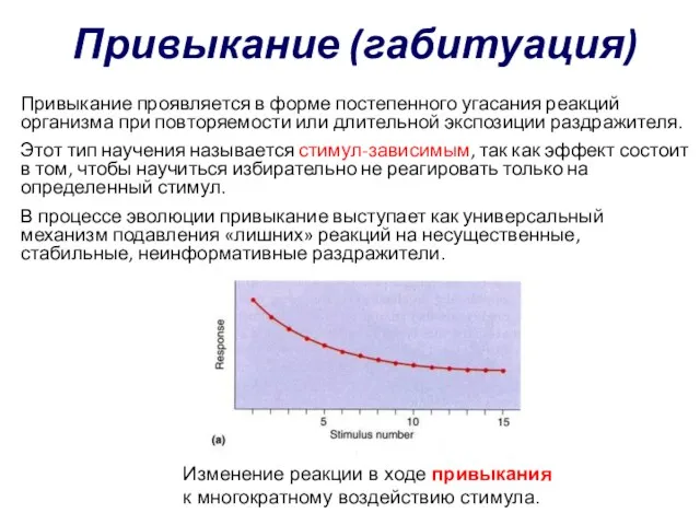 Привыкание (габитуация) Привыкание проявляется в форме постепенного угасания реакций организма