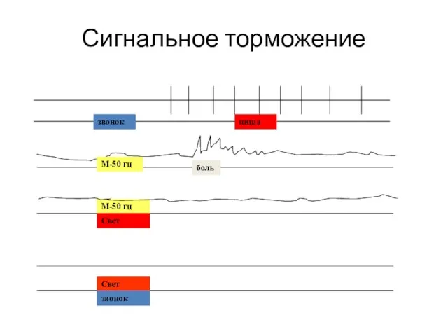 Сигнальное торможение