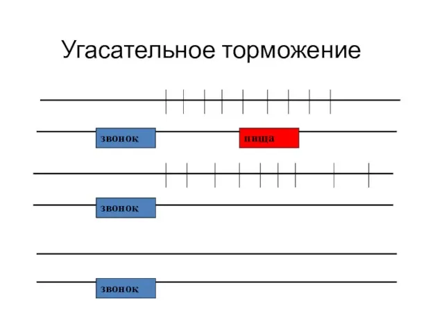 Угасательное торможение звонок пища звонок звонок