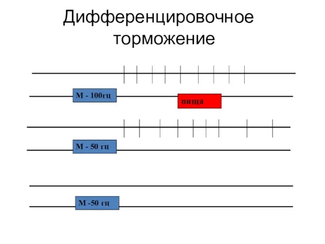 Дифференцировочное торможение