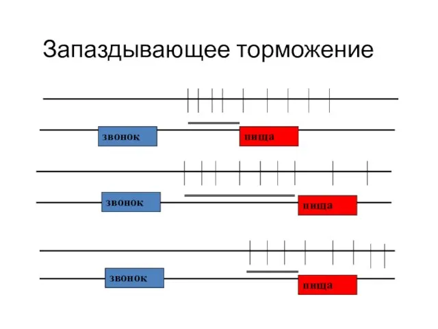 Запаздывающее торможение звонок пища пища пища звонок звонок