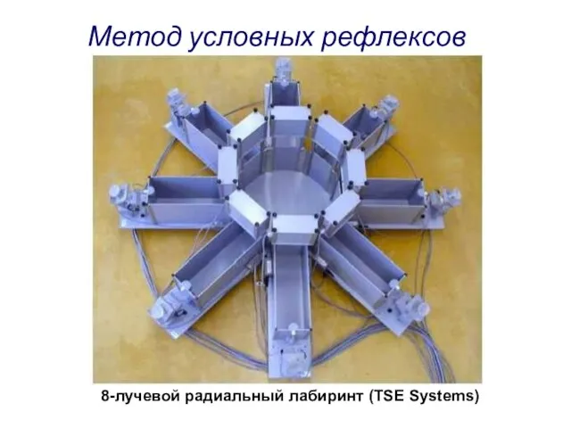 8-лучевой радиальный лабиринт (TSE Systems) Метод условных рефлексов