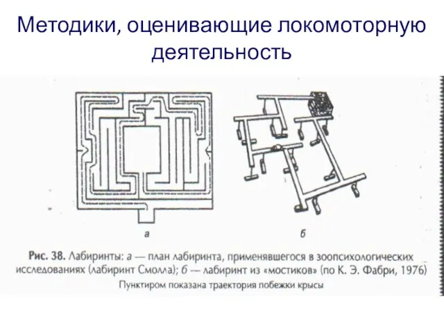 Методики, оценивающие локомоторную деятельность