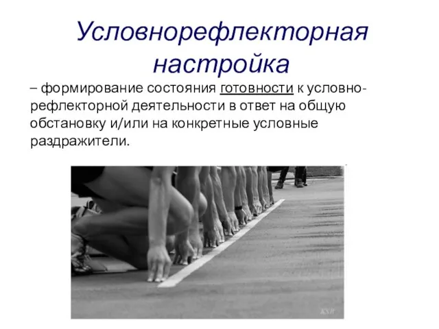 Условнорефлекторная настройка – формирование состояния готовности к условно-рефлекторной деятельности в