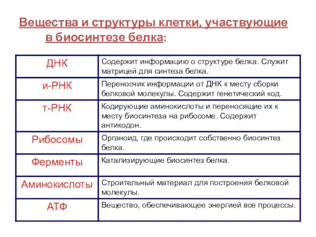 Вещества и структуры клетки, участвующие в биосинтезе белка: