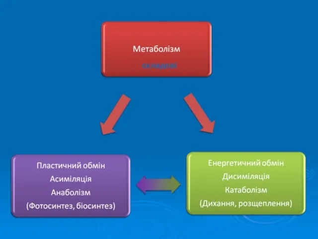 складові