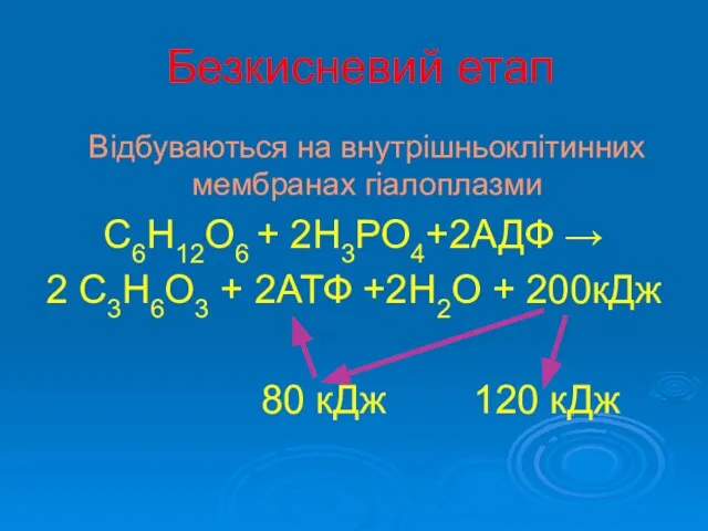 Безкисневий етап Відбуваються на внутрішньоклітинних мембранах гіалоплазми С6Н12О6 + 2Н3РО4+2АДФ → 2 С3Н6О3