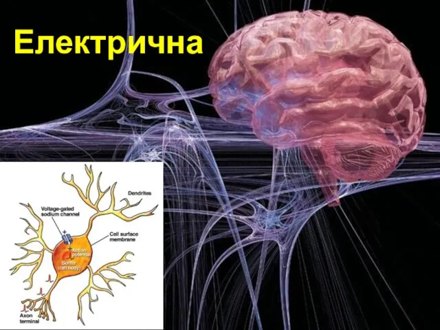 Електрична