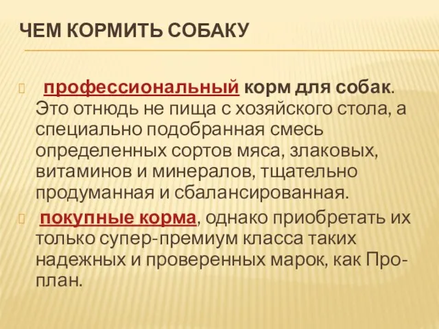 ЧЕМ КОРМИТЬ СОБАКУ профессиональный корм для собак. Это отнюдь не