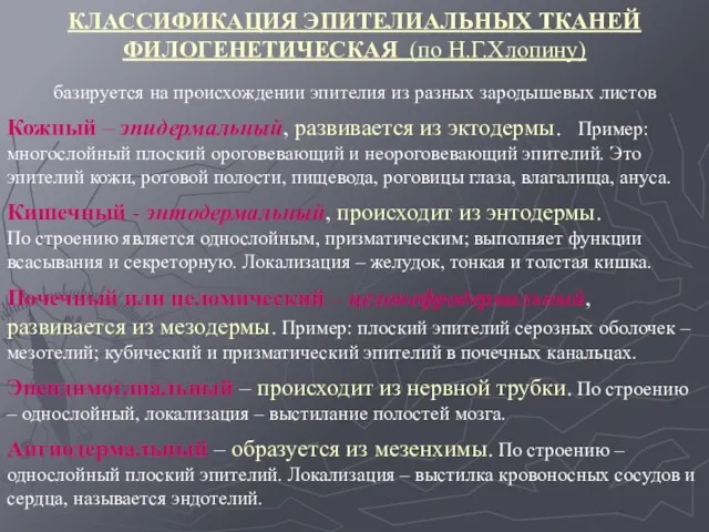 КЛАССИФИКАЦИЯ ЭПИТЕЛИАЛЬНЫХ ТКАНЕЙ ФИЛОГЕНЕТИЧЕСКАЯ (по Н.Г.Хлопину) базируется на происхождении эпителия