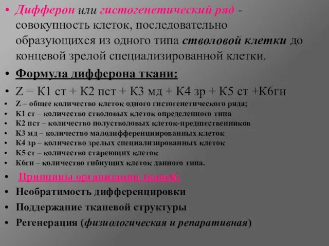 Дифферон или гистогенетический ряд - совокупность клеток, последовательно образующихся из