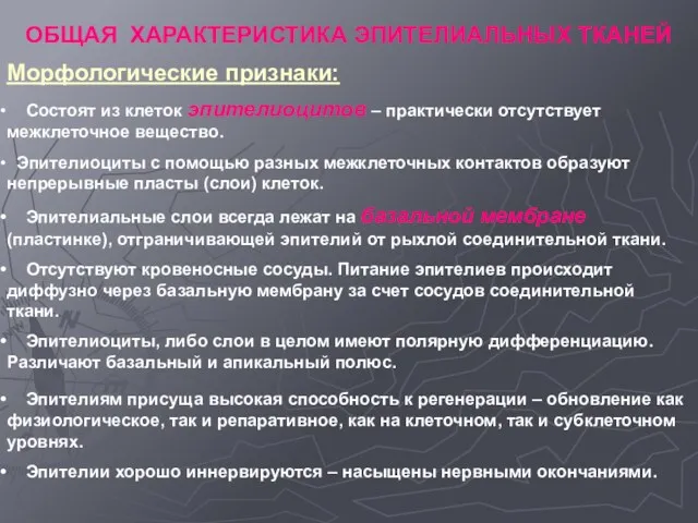 ОБЩАЯ ХАРАКТЕРИСТИКА ЭПИТЕЛИАЛЬНЫХ ТКАНЕЙ Морфологические признаки: Состоят из клеток эпителиоцитов