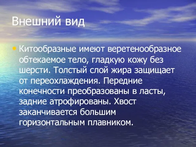 Внешний вид Китообразные имеют веретенообразное обтекаемое тело, гладкую кожу без