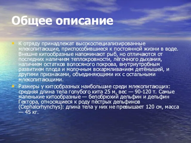 Общее описание К отряду принадлежат высокоспециализированные млекопитающие, приспособившиеся к постоянной