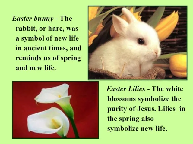 Easter bunny - The rabbit, or hare, was a symbol