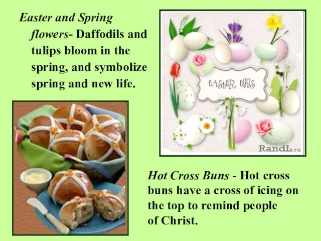 Easter and Spring flowers- Daffodils and tulips bloom in the