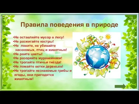 Правила поведения в природе Не оставляйте мусор в лесу! Не