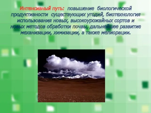 Интенсивный путь: повышение биологической продуктивности существующих угодий, биотехнология использования новых,