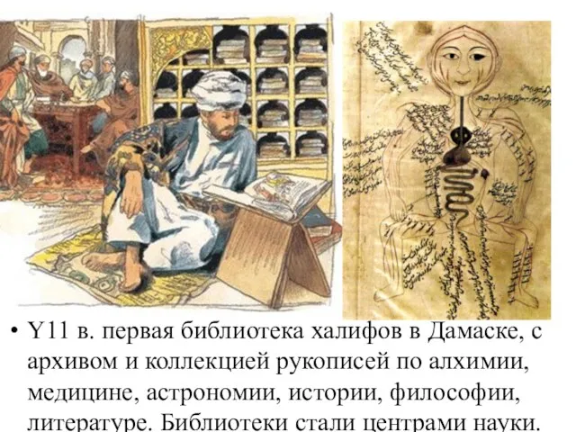 Y11 в. первая библиотека халифов в Дамаске, с архивом и
