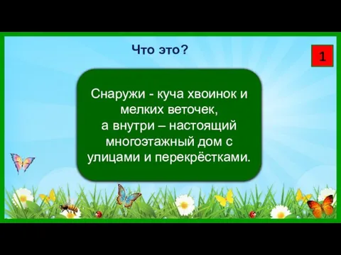 1 Что это? Снаружи - куча хвоинок и мелких веточек,