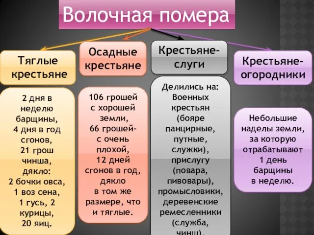 Волочная помера Тяглые крестьяне Осадные крестьяне Крестьяне- слуги Крестьяне- огородники