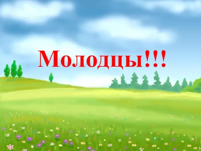 Молодцы!!!