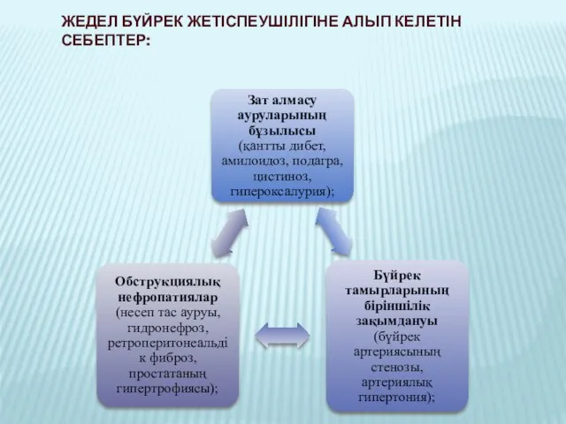 ЖЕДЕЛ БҮЙРЕК ЖЕТІСПЕУШІЛІГІНЕ АЛЫП КЕЛЕТІН СЕБЕПТЕР: