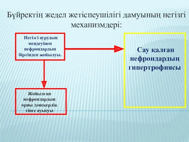 Бүйректің жедел жетіспеушілігі дамуының негізгі механизмдері: Негізгі аурудың меңдеуінен нефрондардың біртіндеп жойылуы. Сау