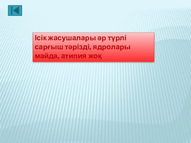 Ісік жасушалары әр түрлі сарғыш тәрізді, ядролары майда, атипия жоқ