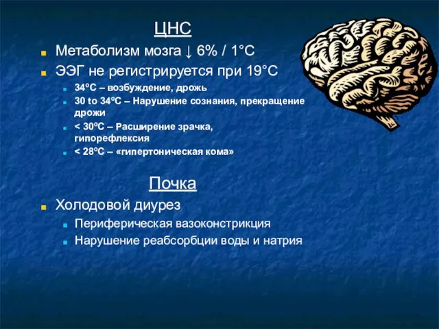 ЦНС Метаболизм мозга ↓ 6% / 1°C ЭЭГ не регистрируется