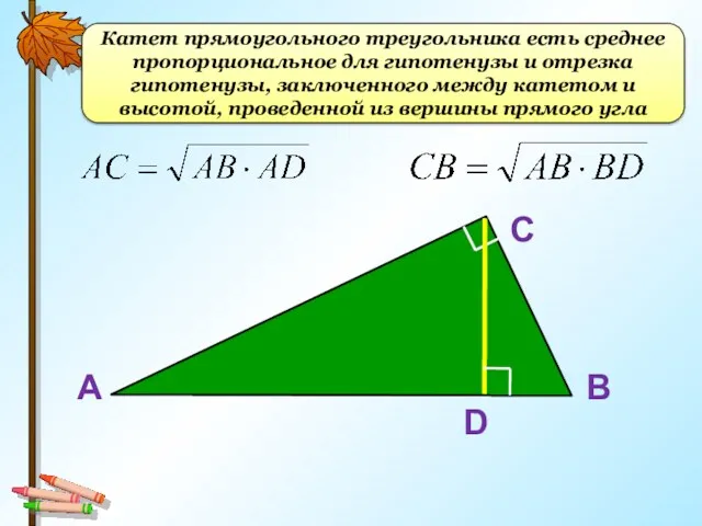 Катет прямоугольного треугольника есть среднее пропорциональное для гипотенузы и отрезка