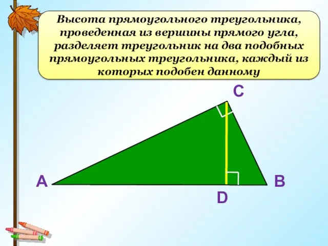 Высота прямоугольного треугольника, проведенная из вершины прямого угла, разделяет треугольник