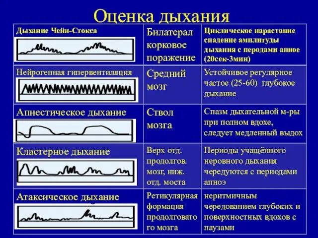 Оценка дыхания