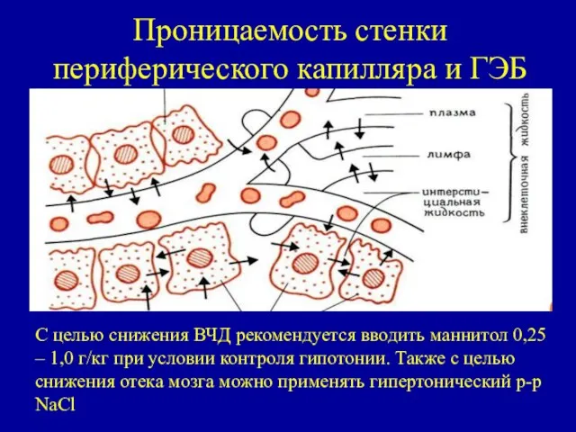 Проницаемость стенки периферического капилляра и ГЭБ С целью снижения ВЧД