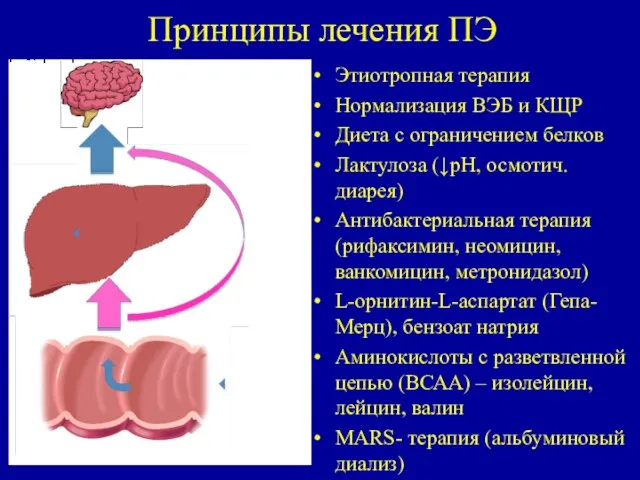 Принципы лечения ПЭ Этиотропная терапия Нормализация ВЭБ и КЩР Диета