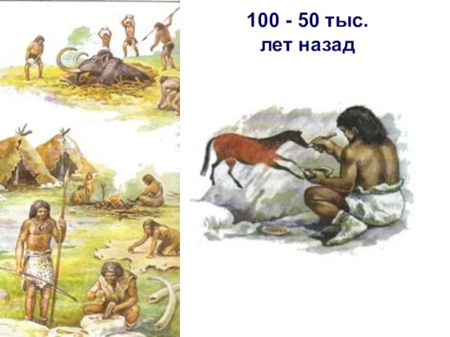 100 - 50 тыс. лет назад