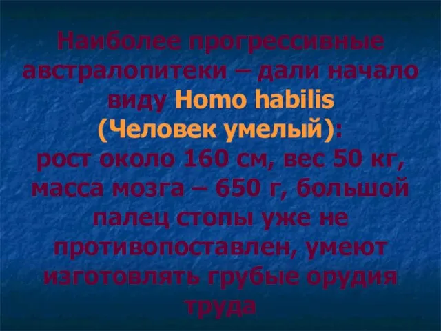 Наиболее прогрессивные австралопитеки – дали начало виду Homo habilis (Человек