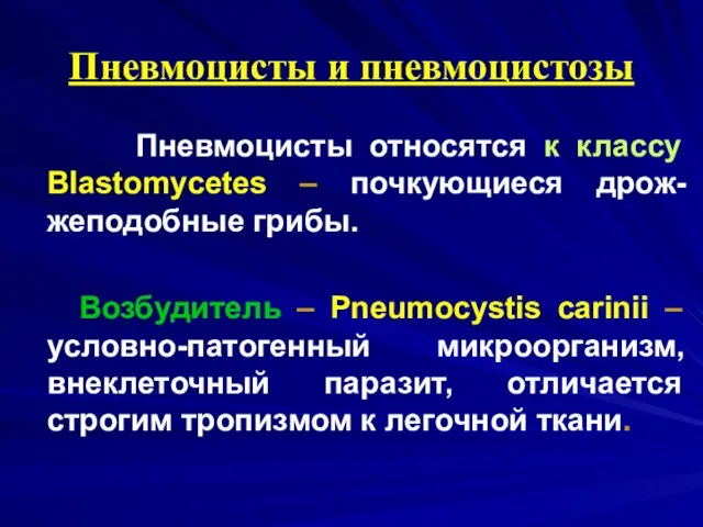 Пневмоцисты и пневмоцистозы Пневмоцисты относятся к классу Blastomycetes – почкующиеся