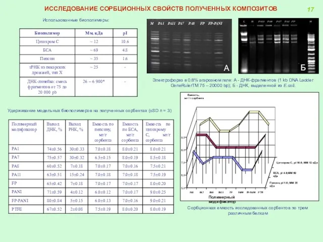 Использованные биополимеры: Удерживание модельных биополимеров на полученных сорбентах (±SD n