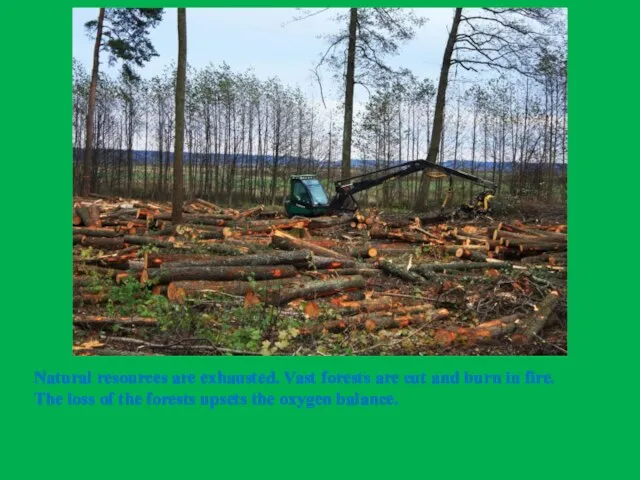Natural resources are exhausted. Vast forests are cut and burn