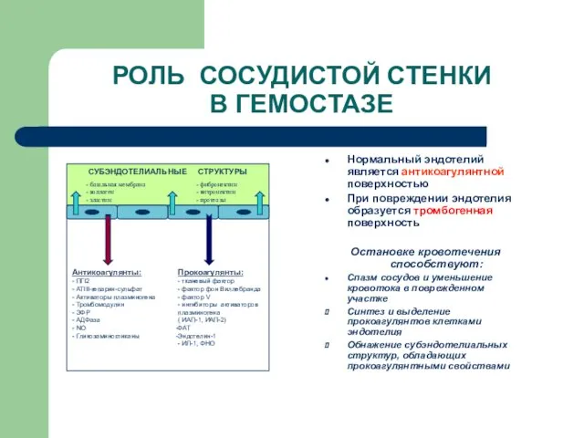 РОЛЬ СОСУДИСТОЙ СТЕНКИ В ГЕМОСТАЗЕ Нормальный эндотелий является антикоагулянтной поверхностью