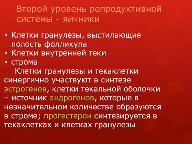 Второй уровень репродуктивной системы - яичники Клетки гранулезы, выстилающие полость