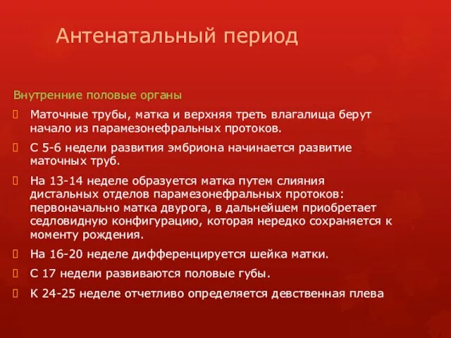 Антенатальный период Внутренние половые органы Маточные трубы, матка и верхняя